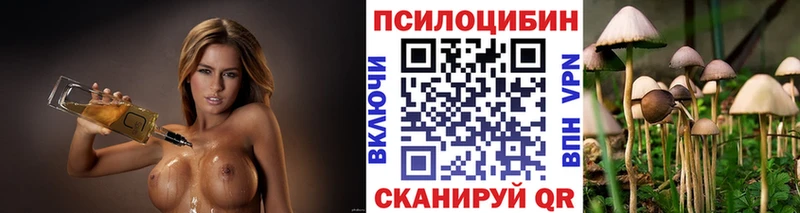 Псилоцибиновые грибы мухоморы  shop официальный сайт  Краснокаменск  купить закладку 